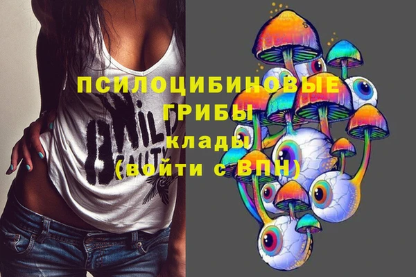 СК Болохово