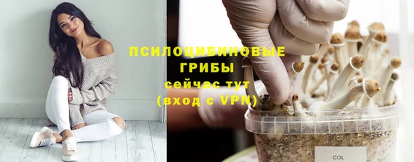 jwh Билибино