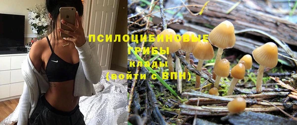 бошки Болотное