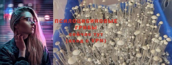 jwh Билибино