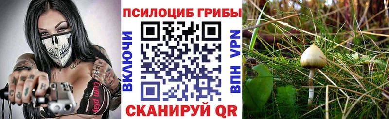 ОМГ ОМГ ONION  Дятьково  Галлюциногенные грибы Psilocybe 