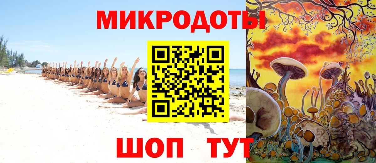 Псилоцибиновые грибы Cubensis  Вход с VPN  Дятьково  Галлюциногенные грибы Psilocybe 